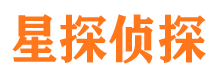 贡井资产调查